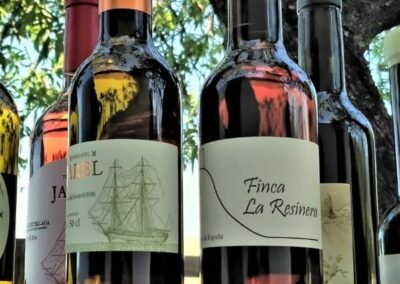 Los vinos Jarel de Bodegas Almijara en Cómpeta